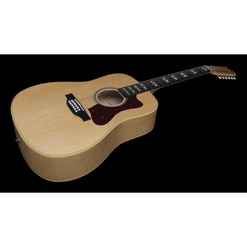 Norman b50 12 string on sale